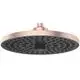 IS-2F-Kopfbrause-Alu-d260mm-Rose-BD581RO gallery number 1